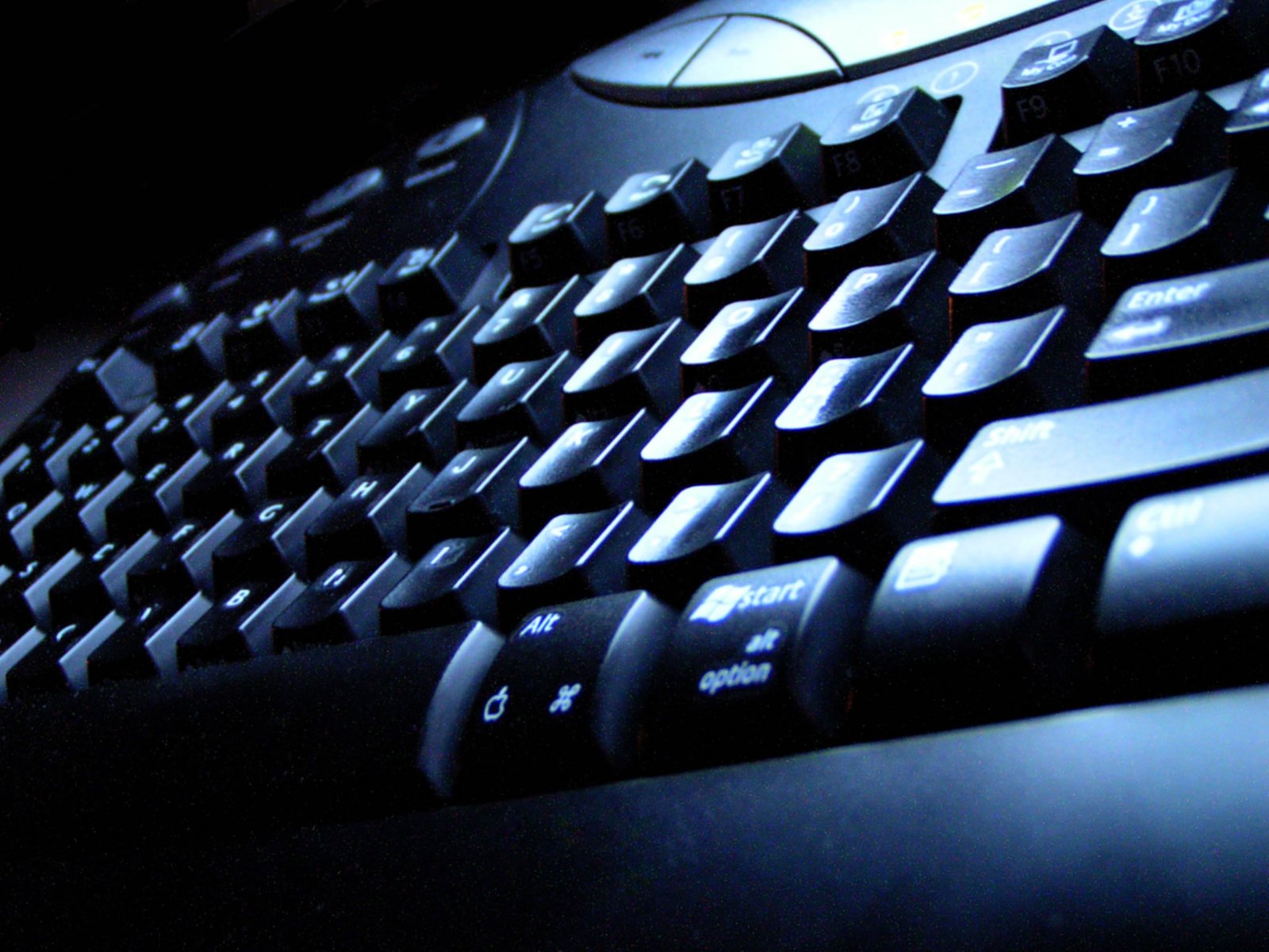 Create a business plan